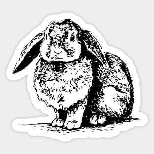 Dwarf Rabbit Charcoal Cute Floppy Ears Bunny Sticker